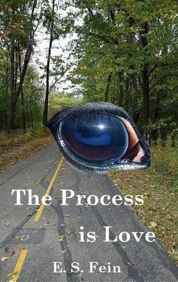 Book cover for The Process Is Love