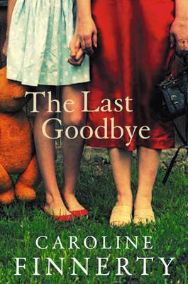 Book cover for The Last Goodbye