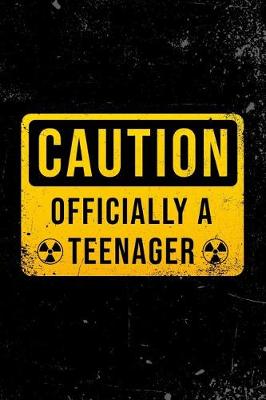 Book cover for Caution - Officially a Teenager