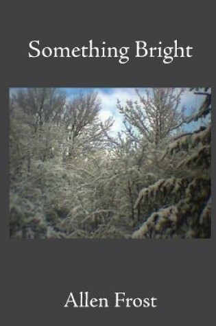 Cover of Something Bright