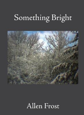 Book cover for Something Bright