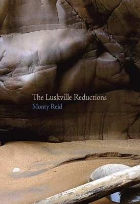 Book cover for The Luskville Reductions