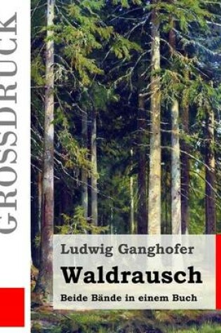 Cover of Waldrausch (Großdruck)