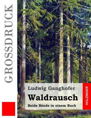 Book cover for Waldrausch (Großdruck)