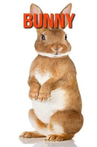 Cover of Bunny