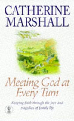 Book cover for Meeting God at Every Turn