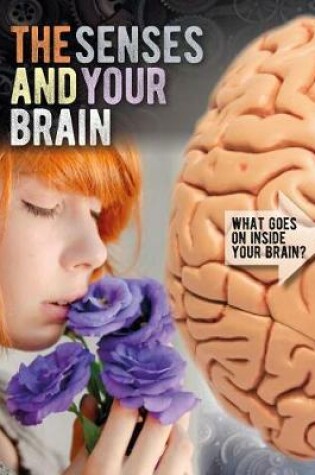 Cover of The Senses and Your Brain