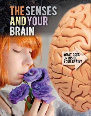 Cover of The Senses and Your Brain