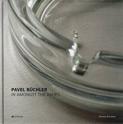 Book cover for Pavel Buechler - In Amongst the Ashes