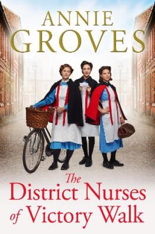 Cover of The District Nurses of Victory Walk