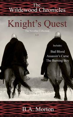 Book cover for Knight's Quest