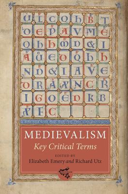 Book cover for Key Critical Terms