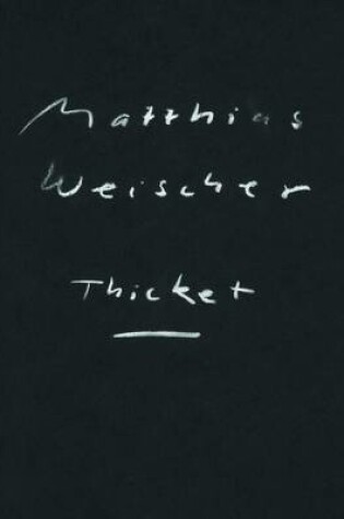 Cover of Matthias Weischer: Thicket