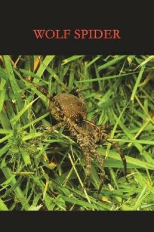 Cover of Wolf Spider Journal