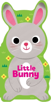 Book cover for Little Bunny