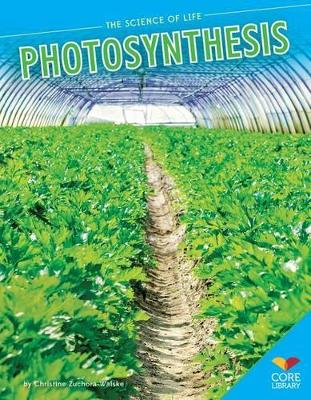 Cover of Photosynthesis