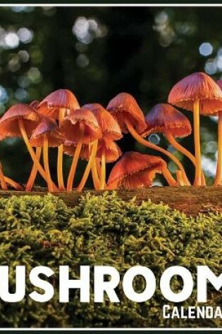 Cover of Mushrooms Calendar 2021