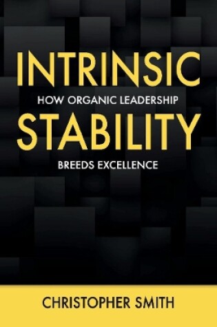 Cover of Intrinsic Stability