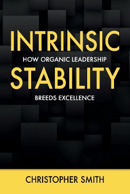 Book cover for Intrinsic Stability
