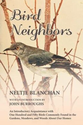Cover of Bird Neighbors - An Introductory Acquaintance with One Hundred and Fifty Birds Commonly Found in the Gardens, Meadows, and Woods About Our Homes
