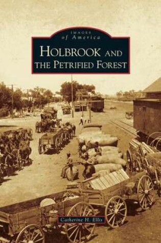 Cover of Holbrook and the Petrified Forest