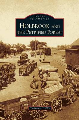 Book cover for Holbrook and the Petrified Forest