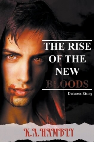 Cover of Darkness Rising