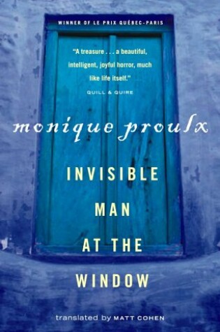 Cover of Invisible Man at the Window