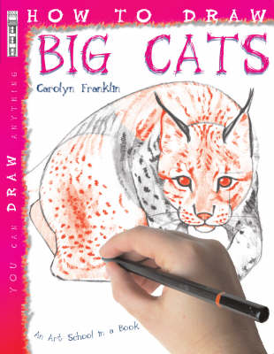 Book cover for How to Draw Big Cats