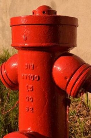 Cover of Red Fire Hydrant in the Grass Journal