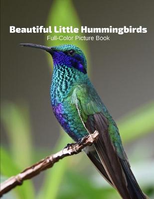 Book cover for Beautiful Little Hummingbirds Full-Color Picture Book