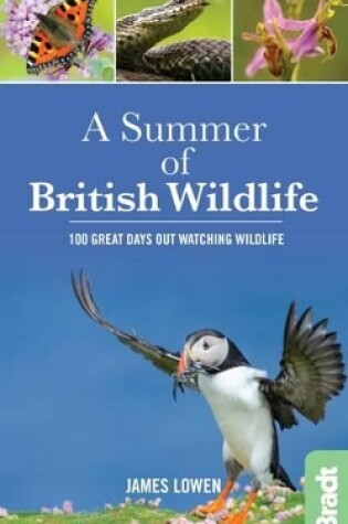 Cover of A Summer of British Wildlife