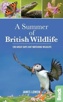 Book cover for A Summer of British Wildlife