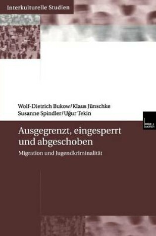 Cover of Ausgegrenzt, eingesperrt und abgeschoben