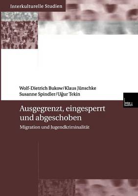 Book cover for Ausgegrenzt, eingesperrt und abgeschoben