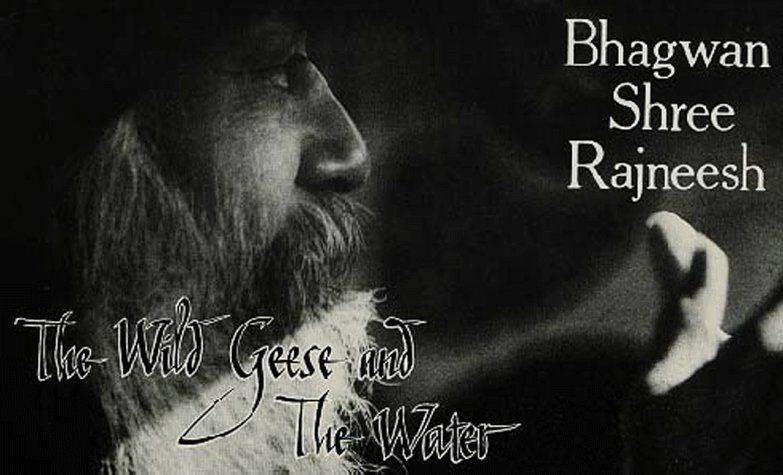 Book cover for Wild Geese and the Water