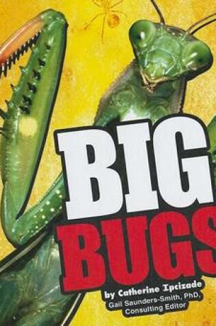 Cover of Big Bugs