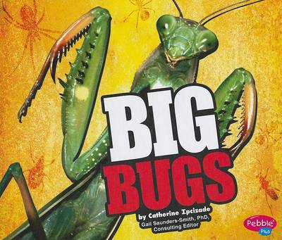 Book cover for Big Bugs