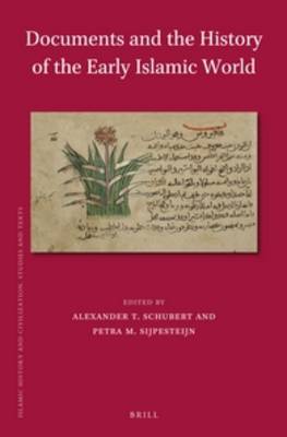 Book cover for Documents and the History of the Early Islamic World