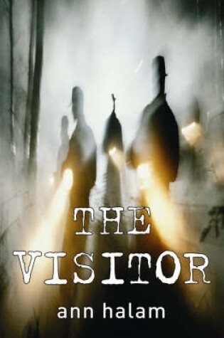 Cover of The Visitor