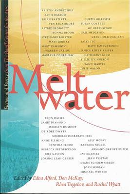 Book cover for Meltwater