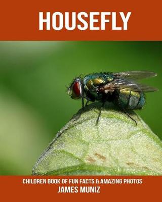 Book cover for Housefly