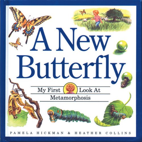 Cover of A New Butterfly
