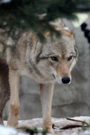 Cover of Magnificent Wild Gray Wolf in Winter Journal