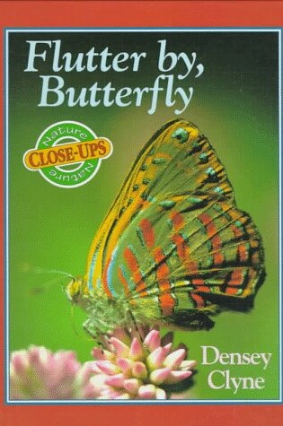 Cover of Flutter by, Butterfly