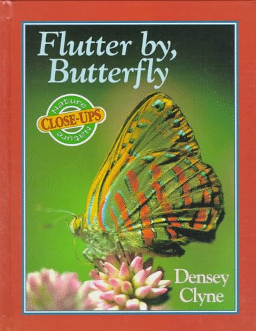 Book cover for Flutter by, Butterfly