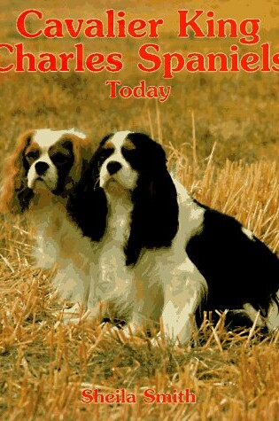 Cover of Cavalier King Charles Spaniels Today