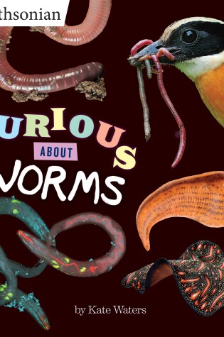 Cover of Curious About Worms