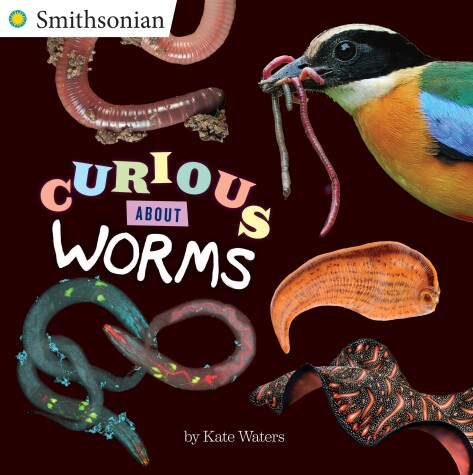 Book cover for Curious About Worms