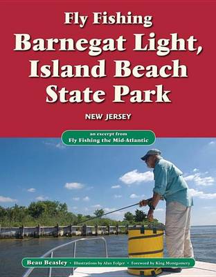 Book cover for Fly Fishing Barnegat Light, Island Beach State Park, New Jersey